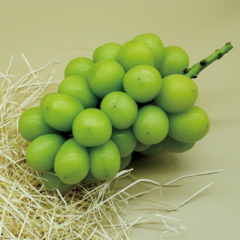 �V���C���}�X�J�b�g