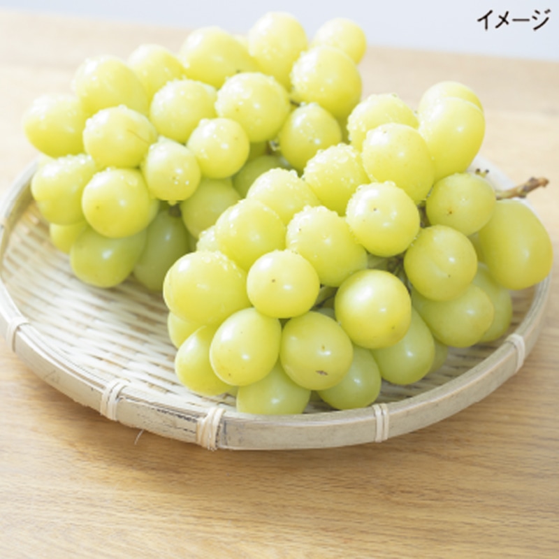 �V���C���}�X�J�b�g