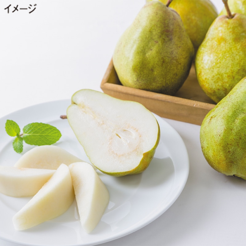 �R�`���Y�}���Q���b�g�E�}���[��