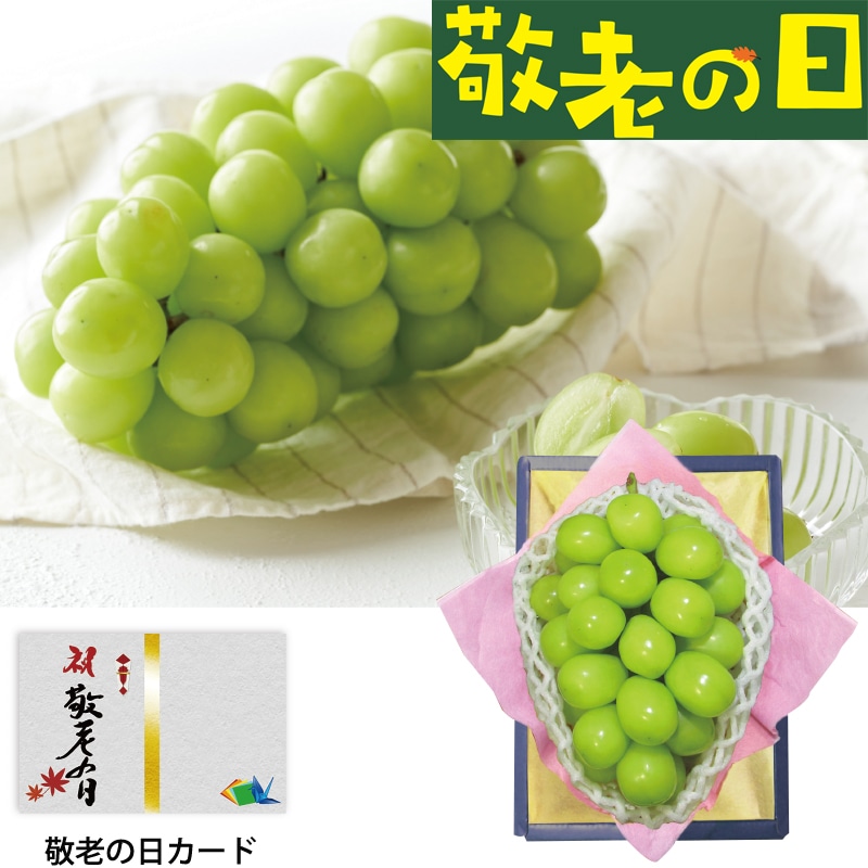 <敬老の日>シャインマスカット
