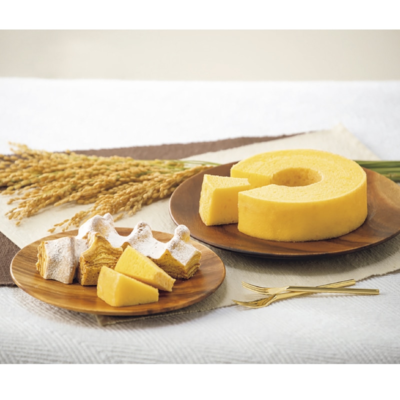 ���Ẵo�E���N�[�w�������̖؃Z�b�g