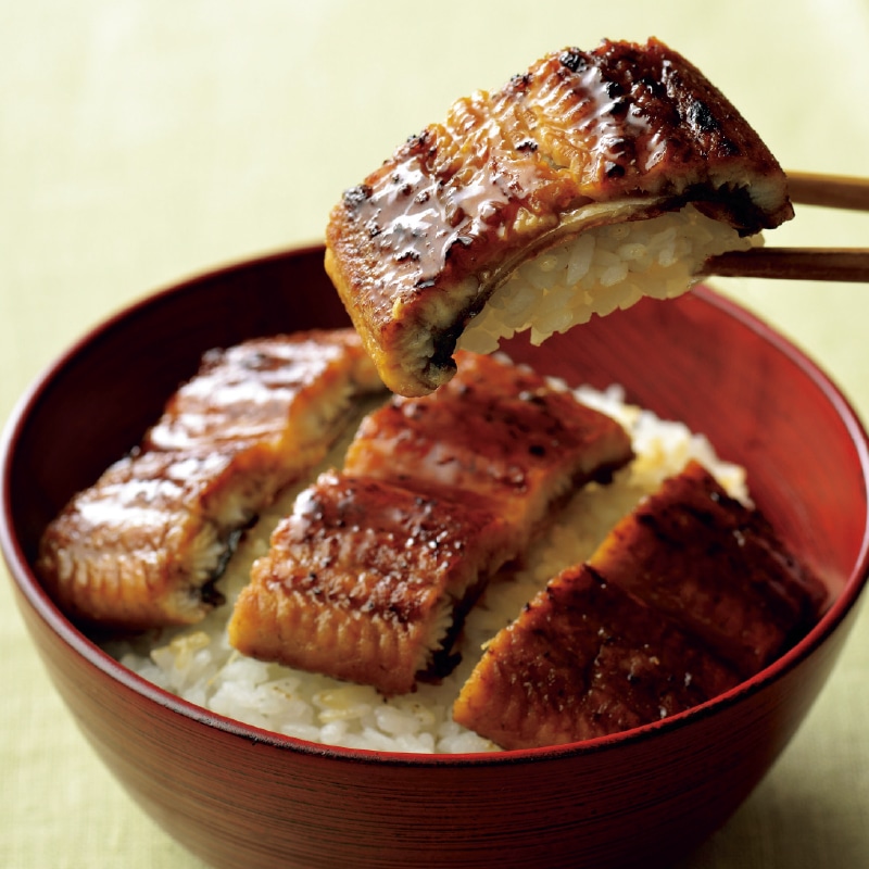 ��������������V�̊��ā@�Q��