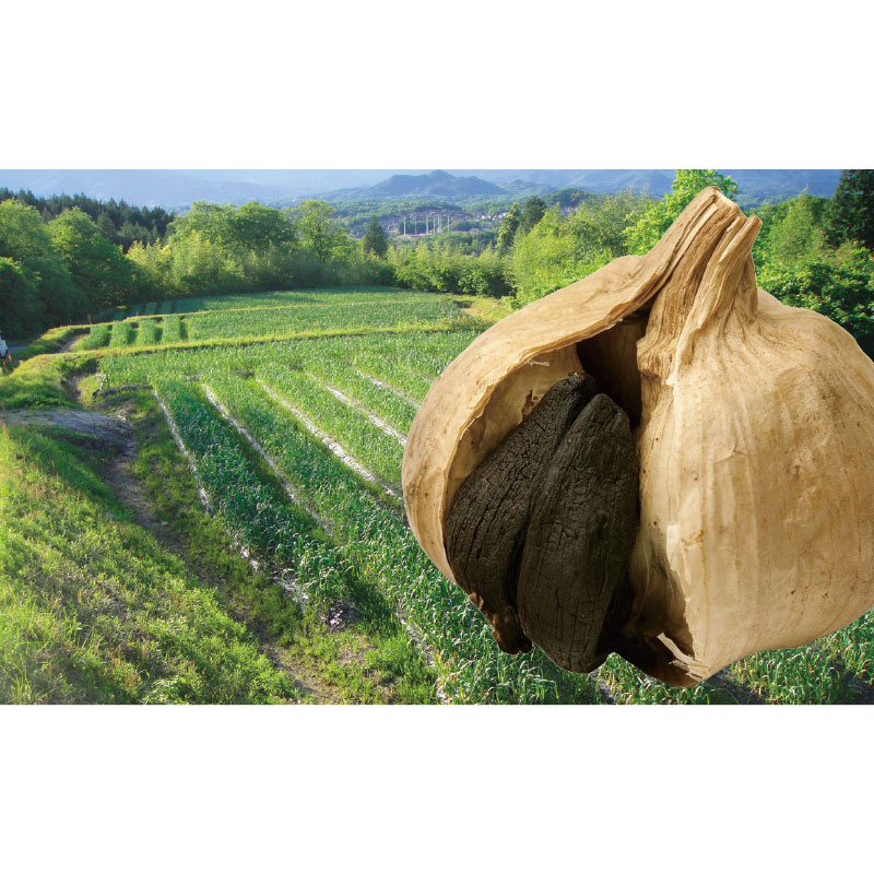 �E�R���n���ɂ�ɂ��@�r�T�C�Y�W��