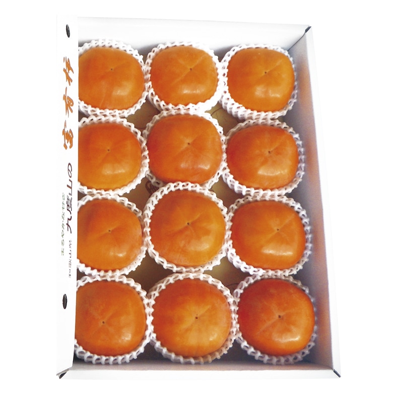 �����p�x�L�`�R����
