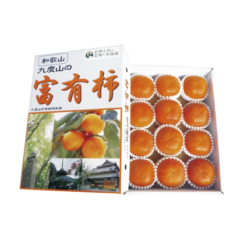 �����p�x�L�`�S����