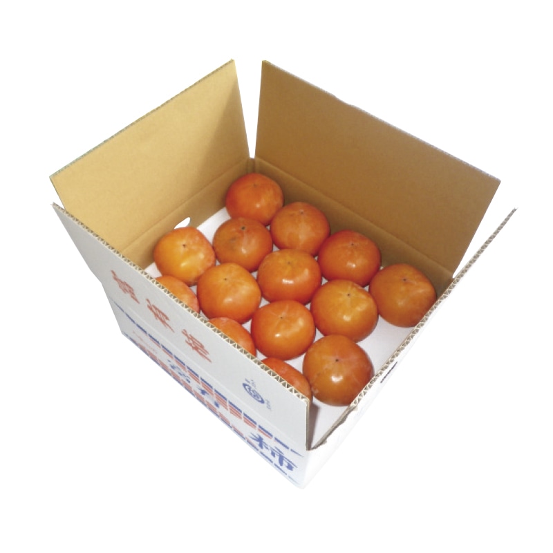 �ƒ�p�x�L�`�V�D�T����