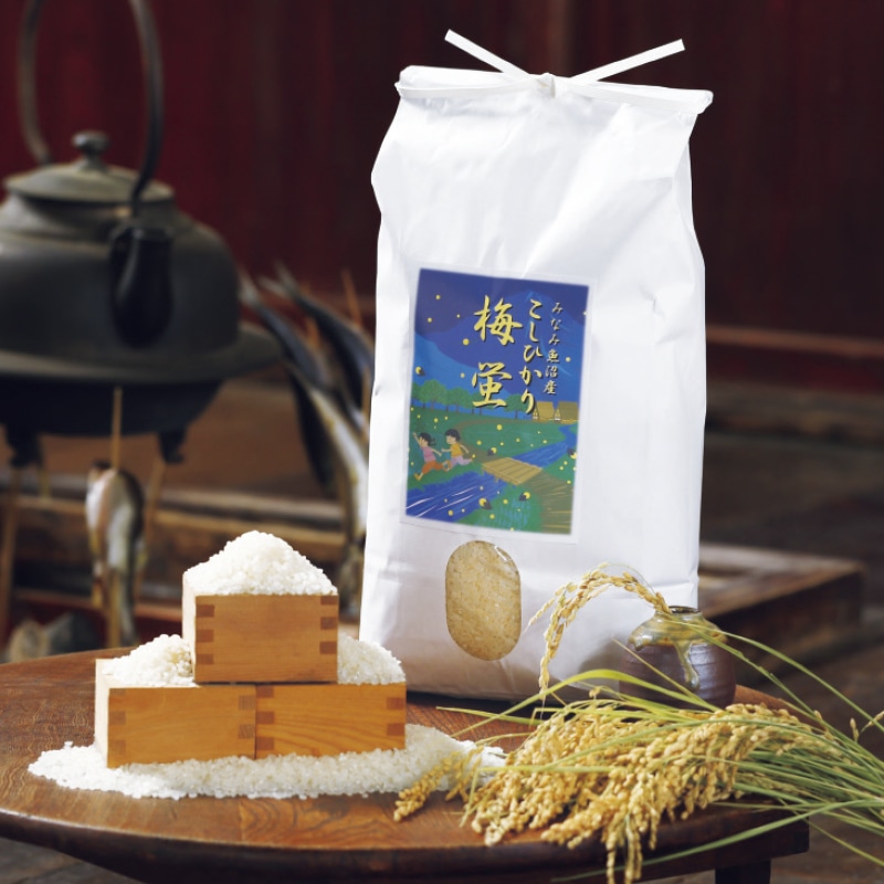 �싛���Y�R�V�q�J���u�~�u�v�@�P�O����