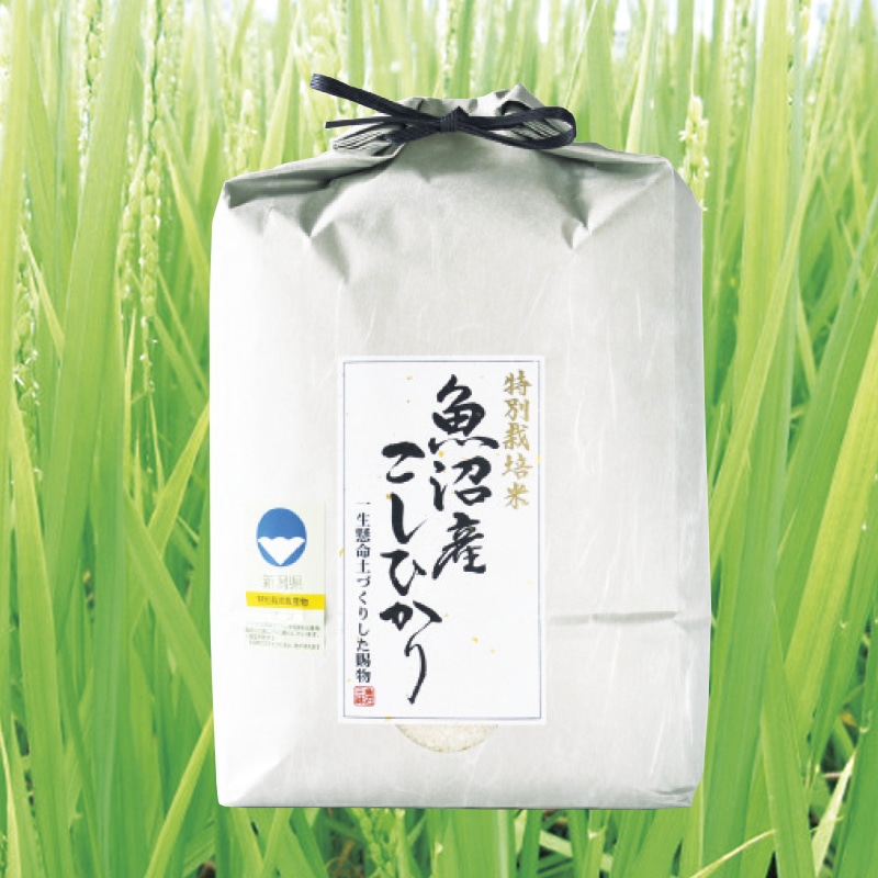 �����R�V�q�J�����ʍ͔|�ā@�T����