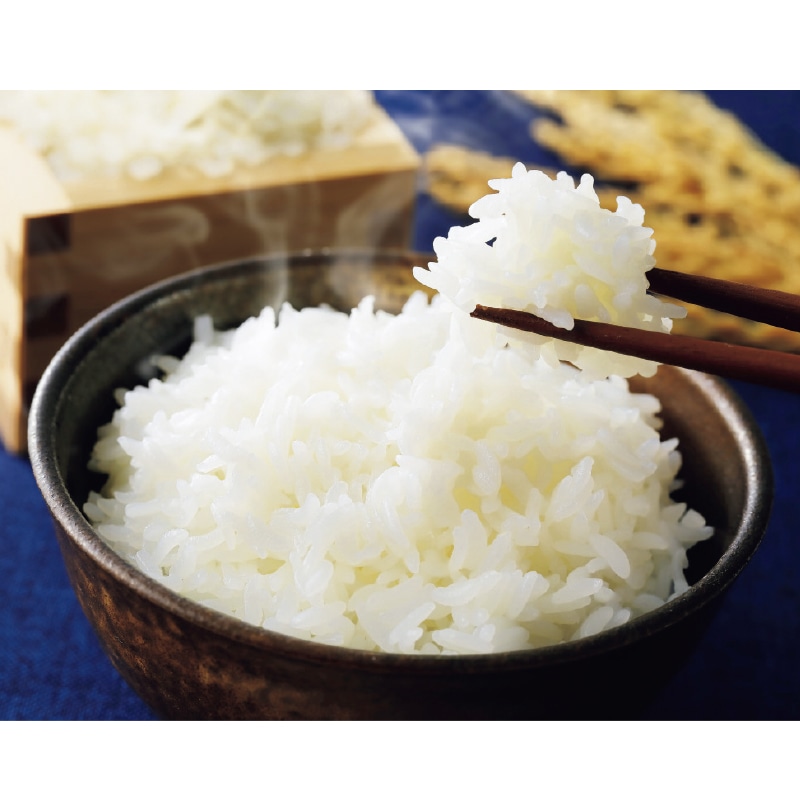 �H���������Y�R�V�q�J���@�Q����×�R