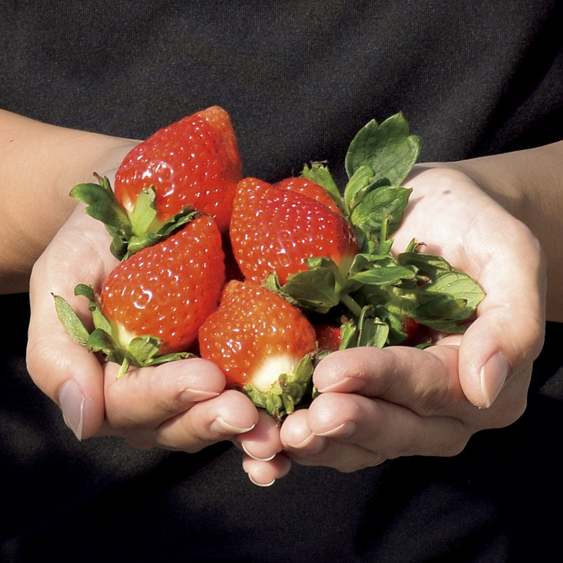 �ፑ���n�������@�z��P�@�P�X�O��×�Q