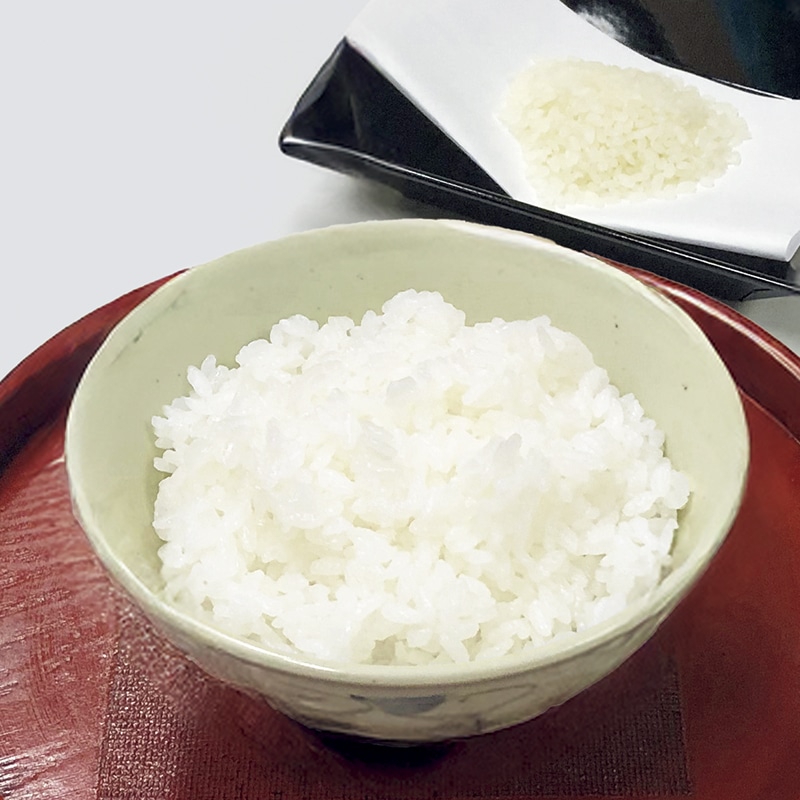 �V�����Y�@���ā@�R��e�P��