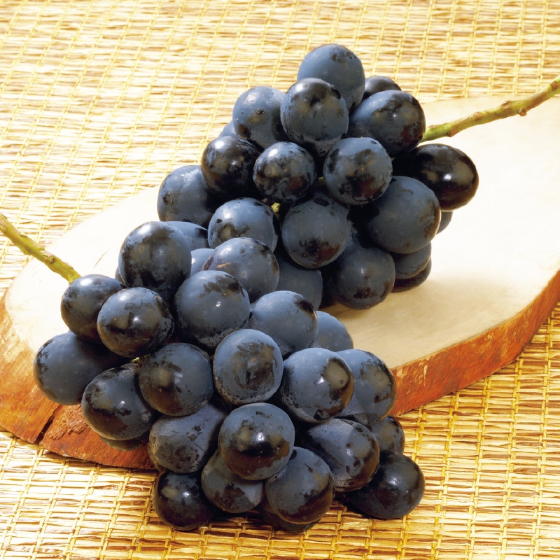 ���쌧�Y�@�i�K�m�p�[�v��