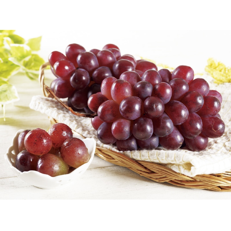 ���쌧�Y�@�N�C�[�����[�W���i�q�j