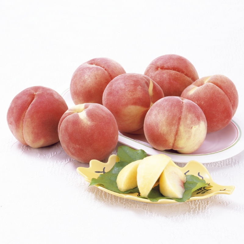 ����̔���