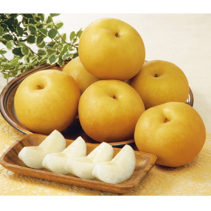 ���쌧�Y�@�쐅���i���x�I�ʁj