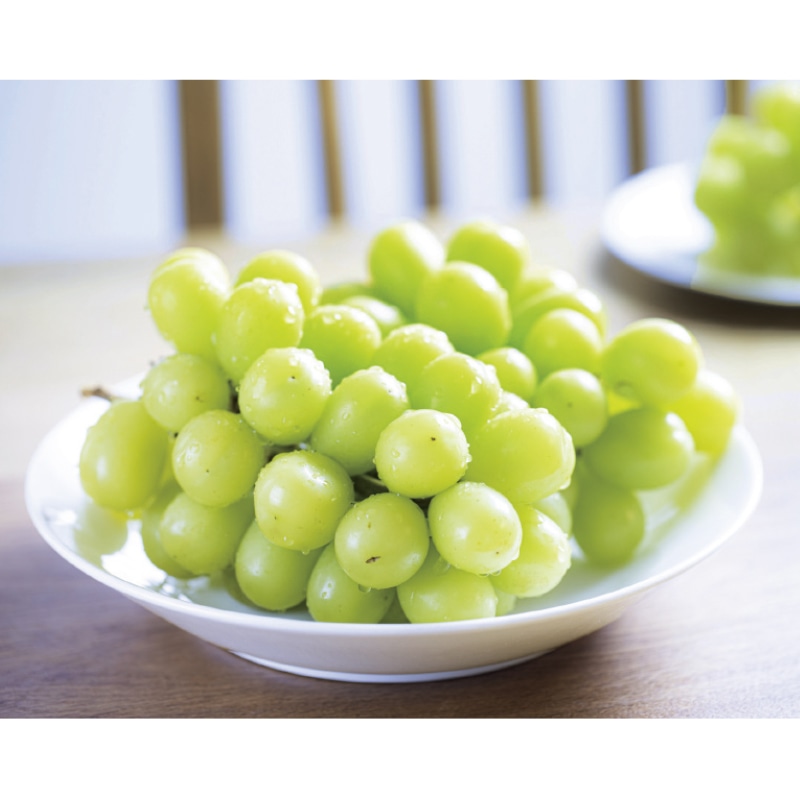 �V���C���}�X�J�b�g�Q����