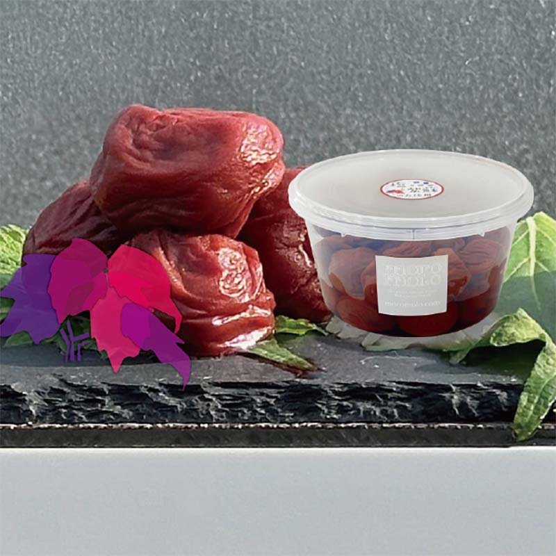 �I�B�썂�~�@�t�r�t�c�n�m�@��������