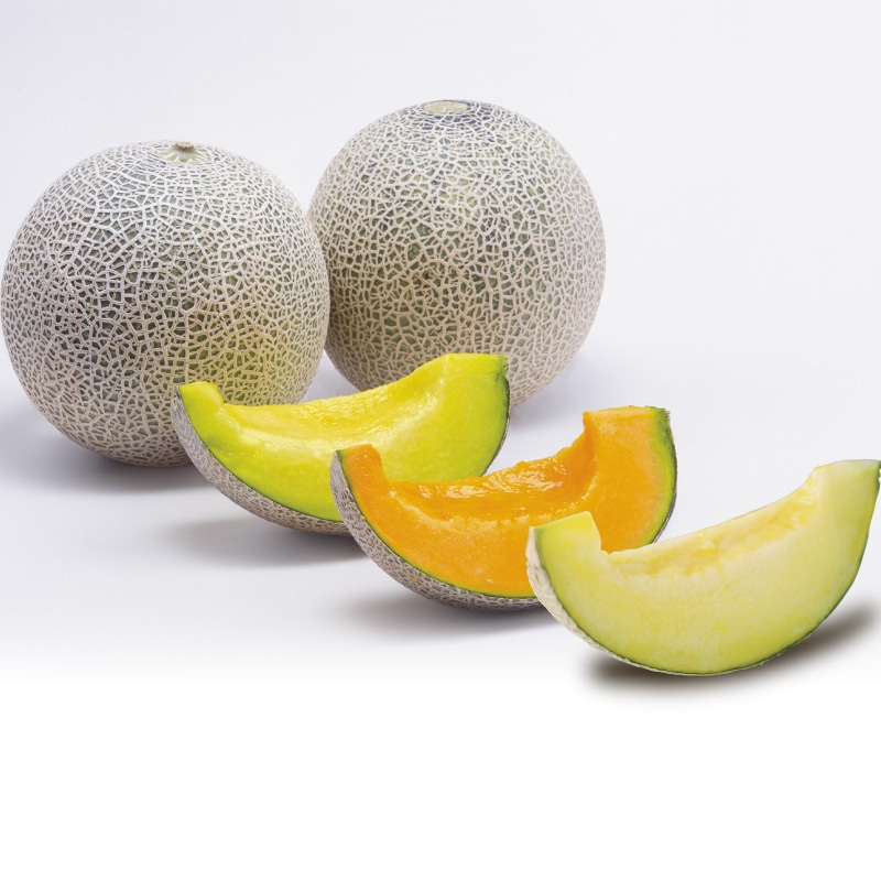 �v���~�A��������