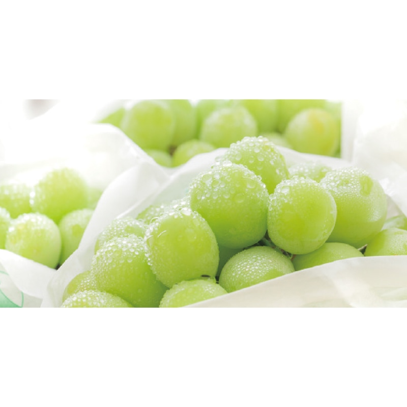 �V���C���}�X�J�b�g�Q����