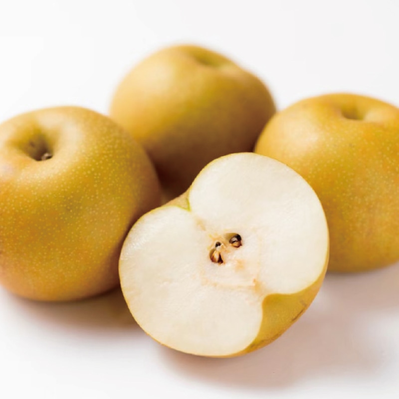 �L�����R����