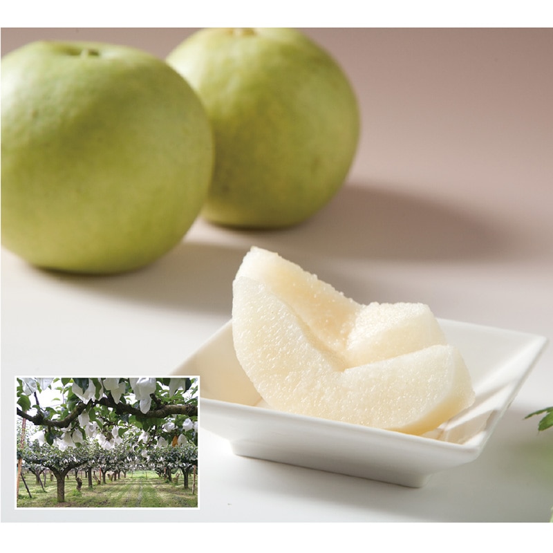 �Q�O���I��