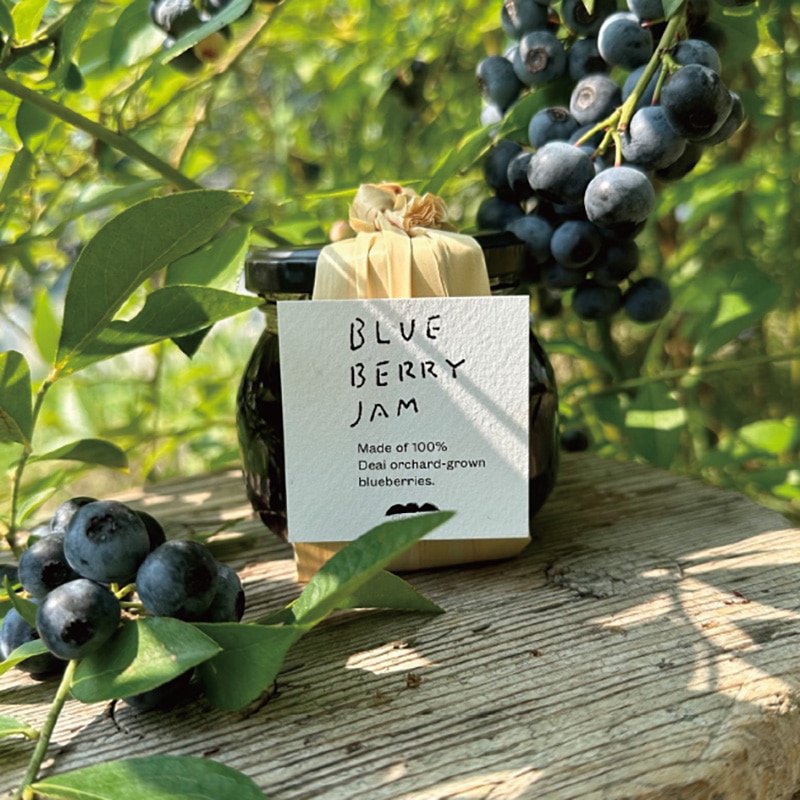 ���R�̃u���[�x���[�W�����@�Q��