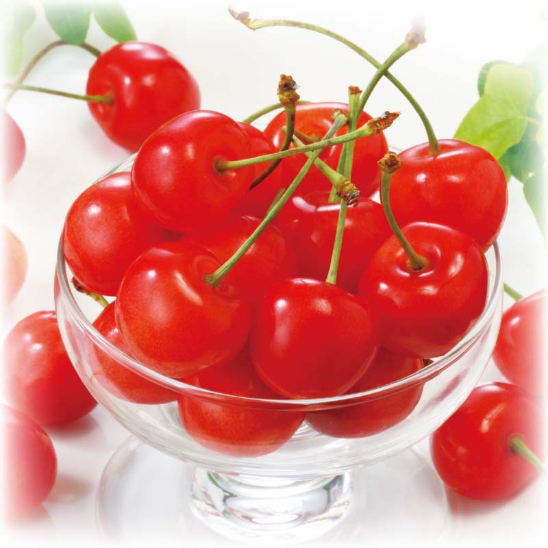 �y�S���_���H�i������Ёz�R�`�̂������ځi�����сj700g��l�i�S�����v�̔��\�萔�F300�j���̔��J�n�F5/26�i�΁j9���`�@��2026�N�u�R�`���Y��������&�{�̃t���[�c�v�i�ߋE�j
