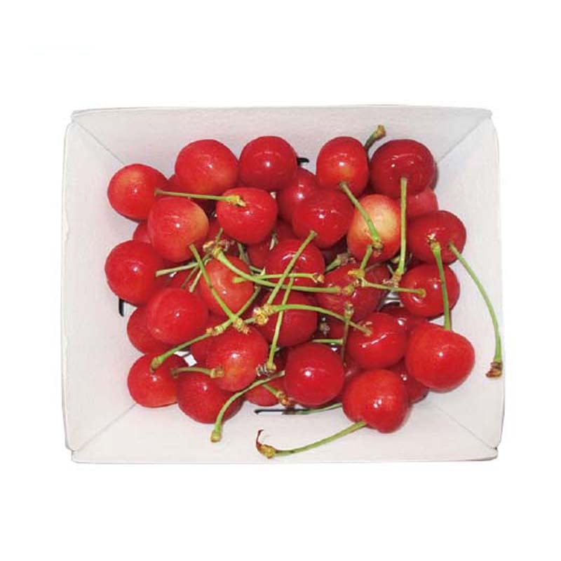 �y�S���_���H�i������Ёz��܂����g���i�S�����v�̔��\�萔�F500�j���̔��J�n�F5/26�i�΁j9���`�@��2026�N�u�R�`���Y��������&�{�̃t���[�c�v�i�ߋE�j