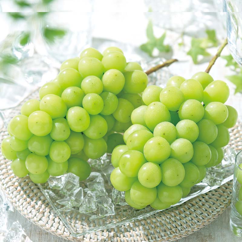 �V���C���}�X�J�b�g