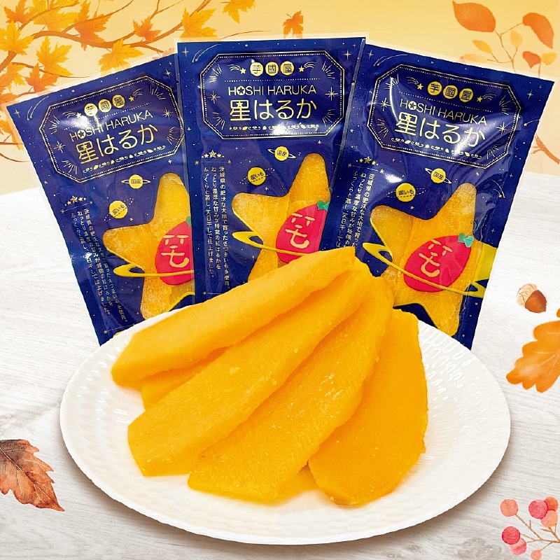 ���͂邩�@�P�O�O��×�R