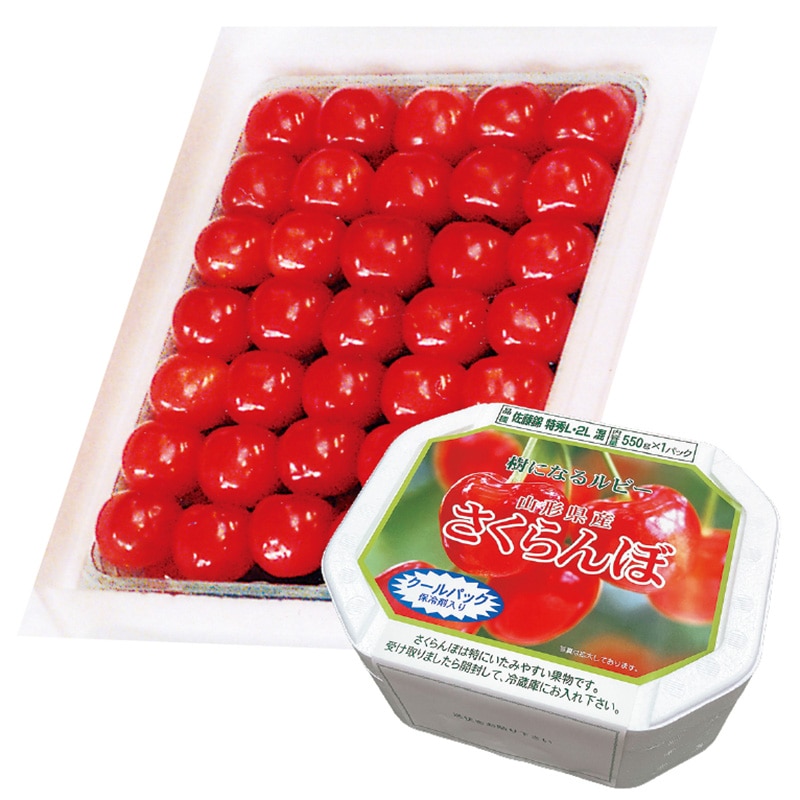 さくらんぼ 佐藤錦550g(特秀)