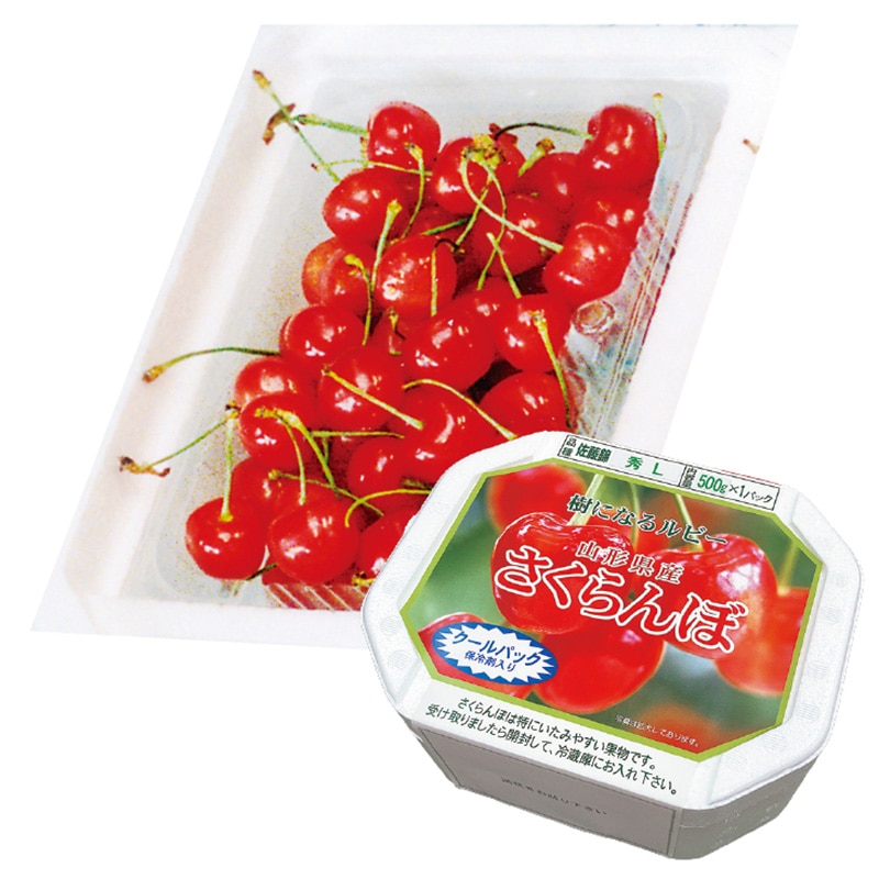 さくらんぼ 佐藤錦500g(秀)