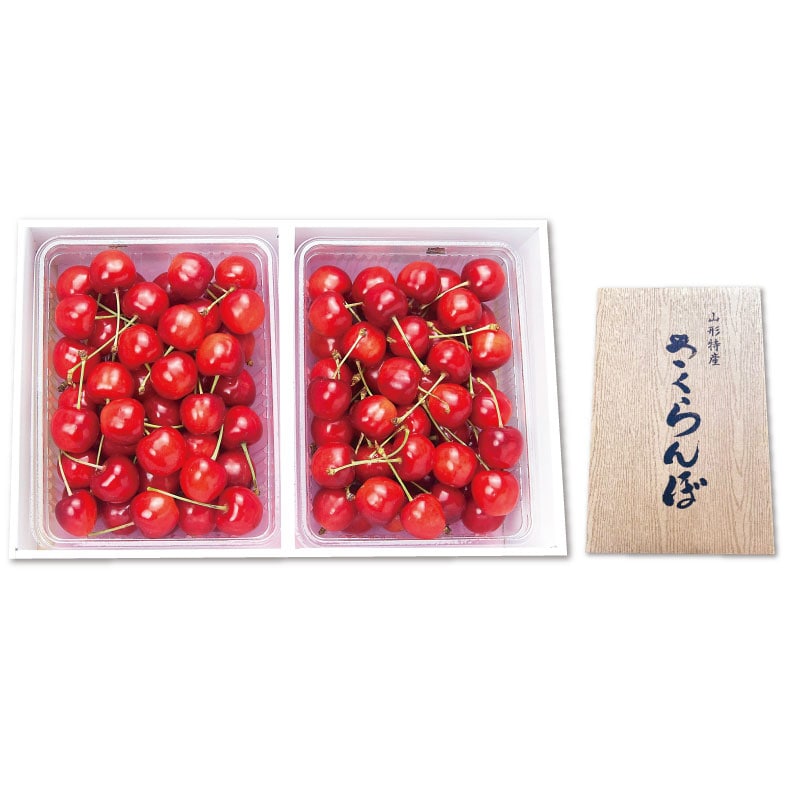 サクランボ 佐藤錦 500g×2 2