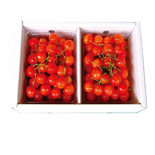 さくらんぼ佐藤錦1kg L:バラ詰 化粧箱入