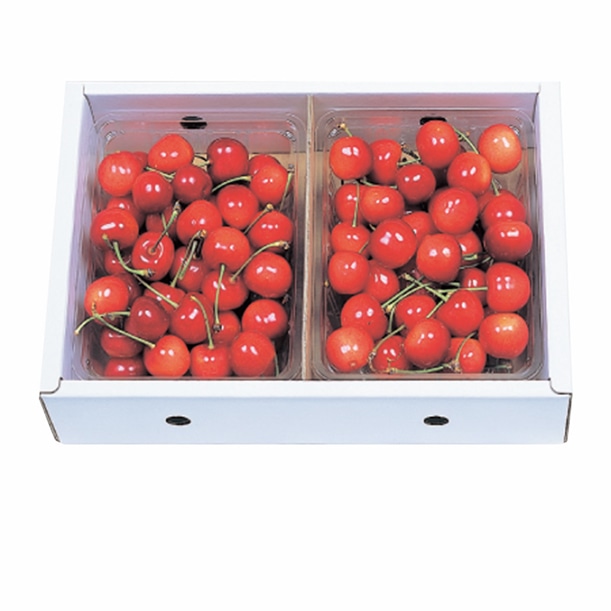 さくらんぼ佐藤錦1kg M:バラ詰 化粧箱入