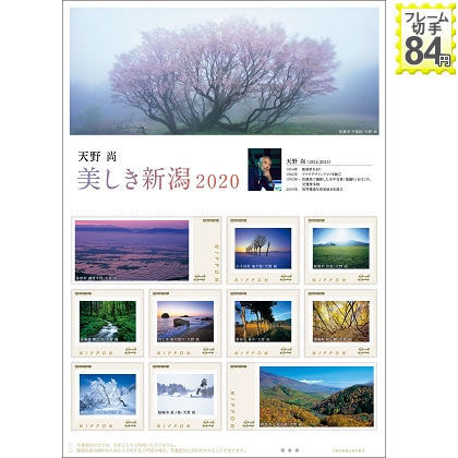 �V�쏮�@�������V���Q�O�Q�O