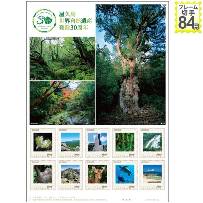 屋久島世界自然遺産登録30周年