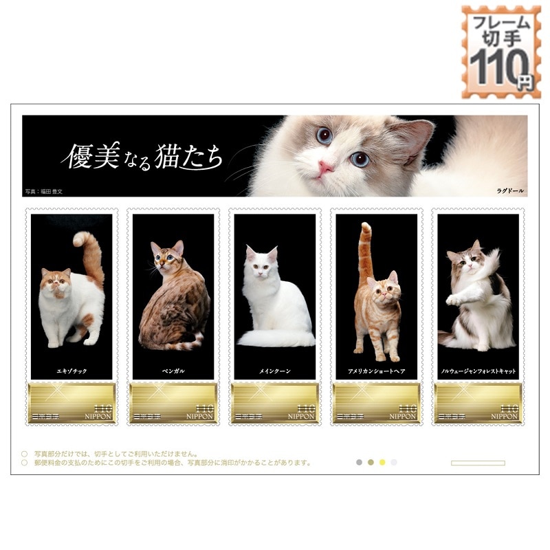 �D���Ȃ�L����