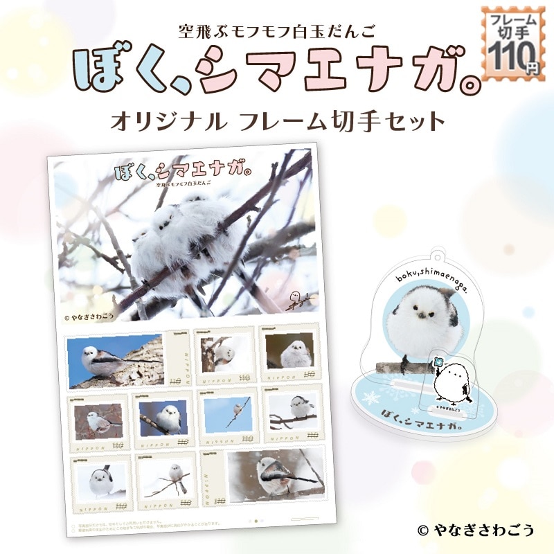 �ڂ��A�V�}�G�i�K�B���ԃ��t���t���ʂ���