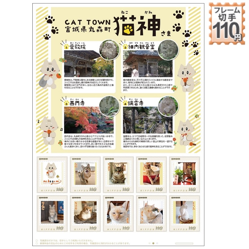 CAT�@TOWN�@�L�_����