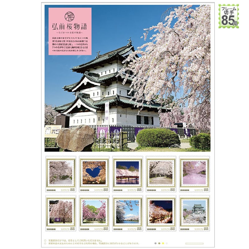 �O�O������2026