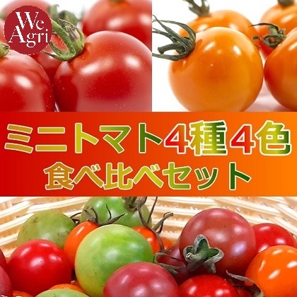 ミニトマト４種４色食べ比べセット