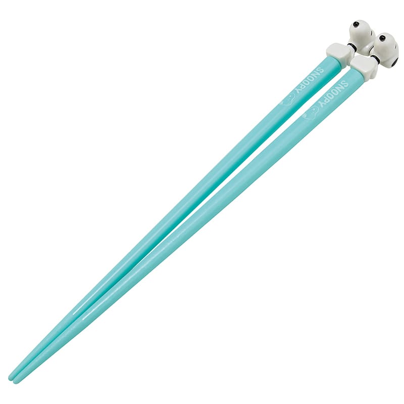 }XRbgtAN(21cm) SNOOPY 21 AAD45