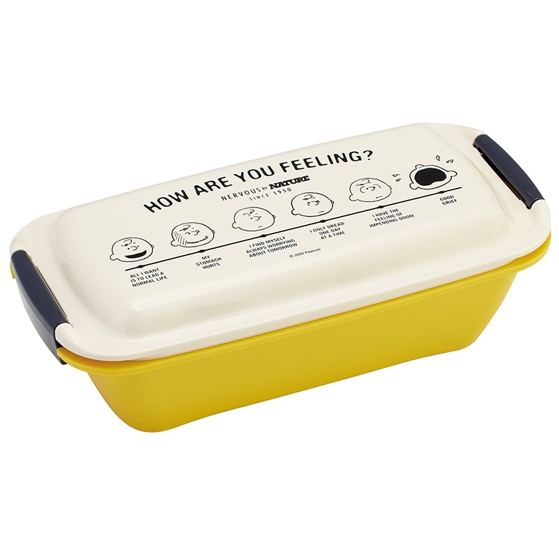 �ӂ���ƃ^�C�g�����`�{�b�N�X 530ml PEANUTS GOODNESS 75th PTLB6B