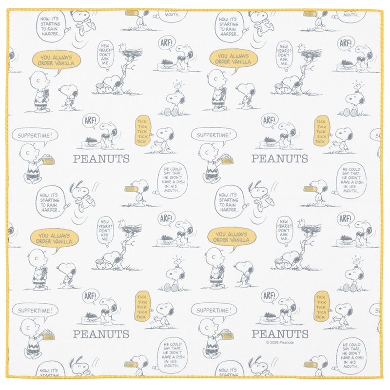 �����������`�N���X SNOOPY �X���[�L�[�p�X�e�� �C�G���[ KBST43