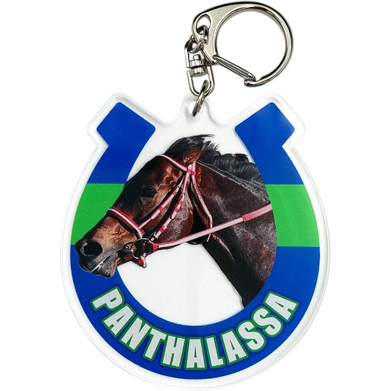 イクイノックス アクリルキーホルダー 名馬烈伝 アクリルキーホルダー（1）イクイノックス｜郵便局の