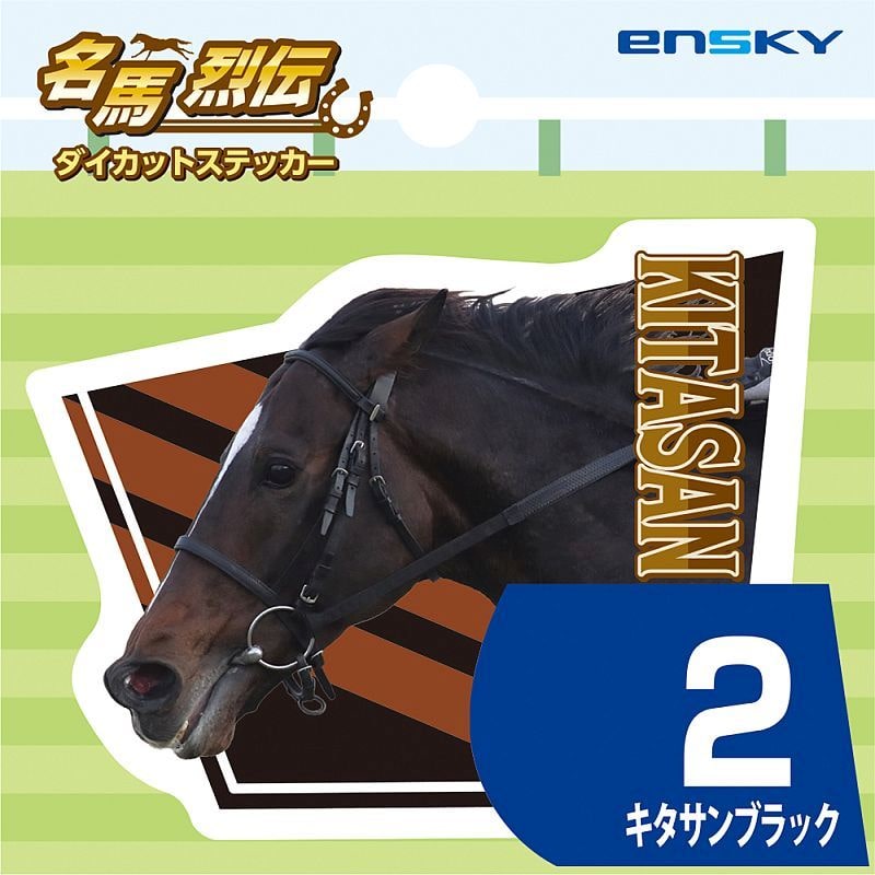 ���n��`�@�_�C�J�b�g�X�e�b�J�[�i�P�X�j�L�^�T���u���b�N