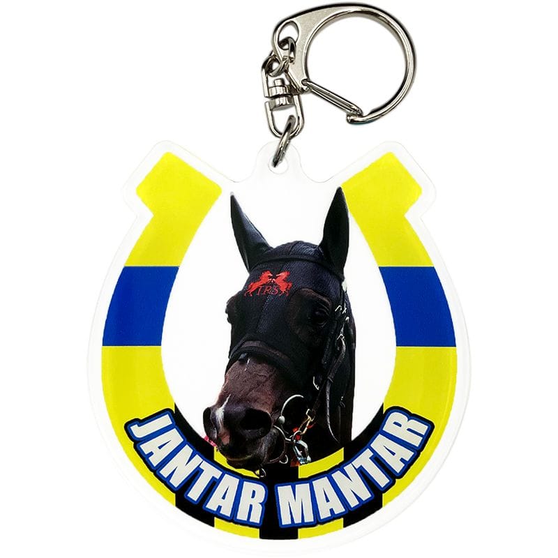 名馬烈伝 アクリルキーホルダー(14)ジャンタルマンタル