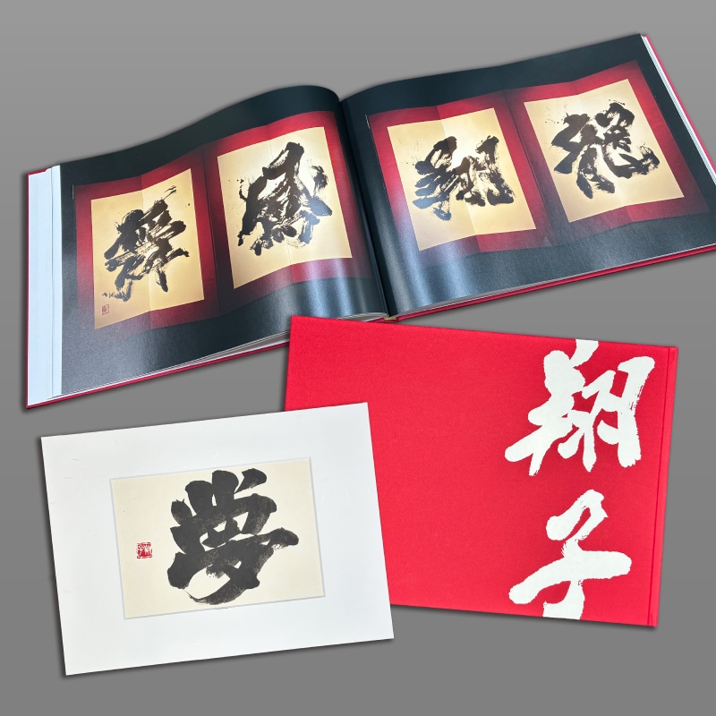 書家 金澤翔子 屏風百点作品集 特装版(真筆付)