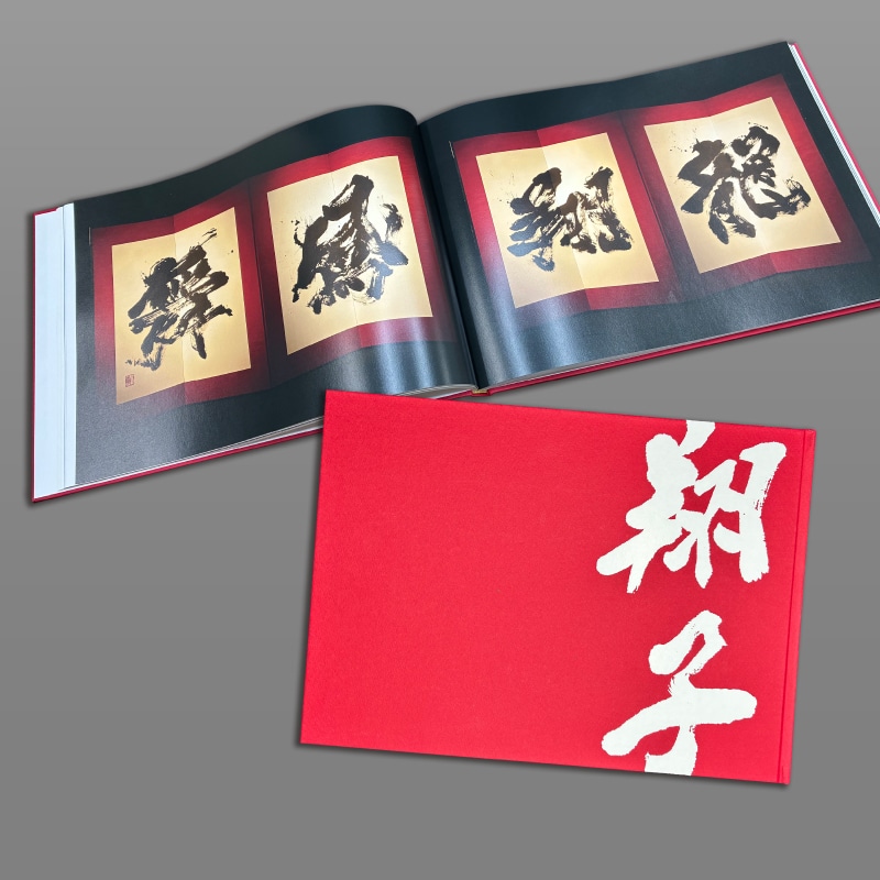 書家 金澤翔子 屏風百点作品集 特装版